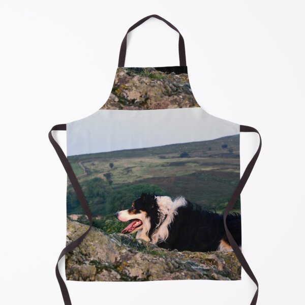 Item preview, Border Collie Graffiti. designed and sold by Michael Haslam.