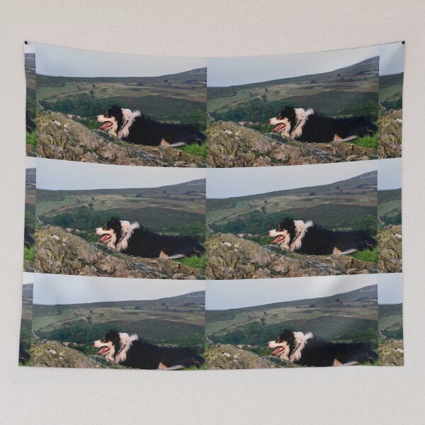 Item preview, Border Collie Graffiti. designed and sold by Michael Haslam.