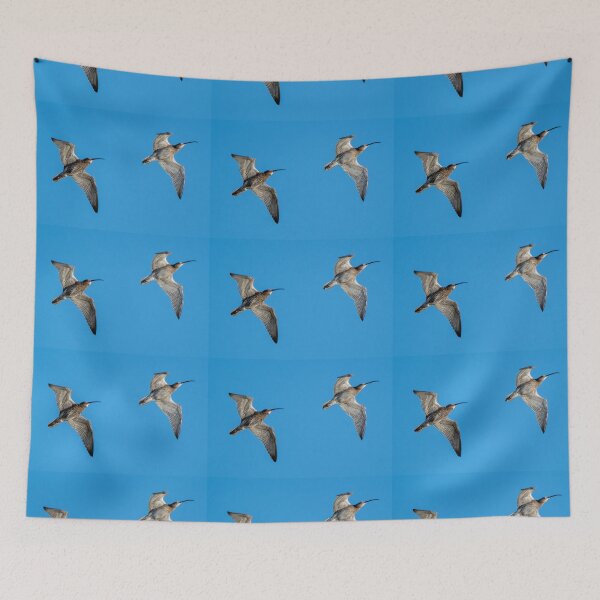 Item preview, curlews designed and sold by tammy mellor.
