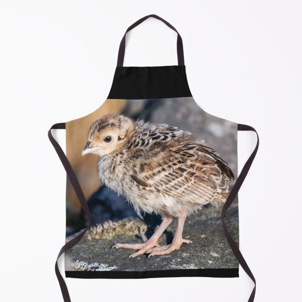Item preview, pheasant designed and sold by tammy mellor.