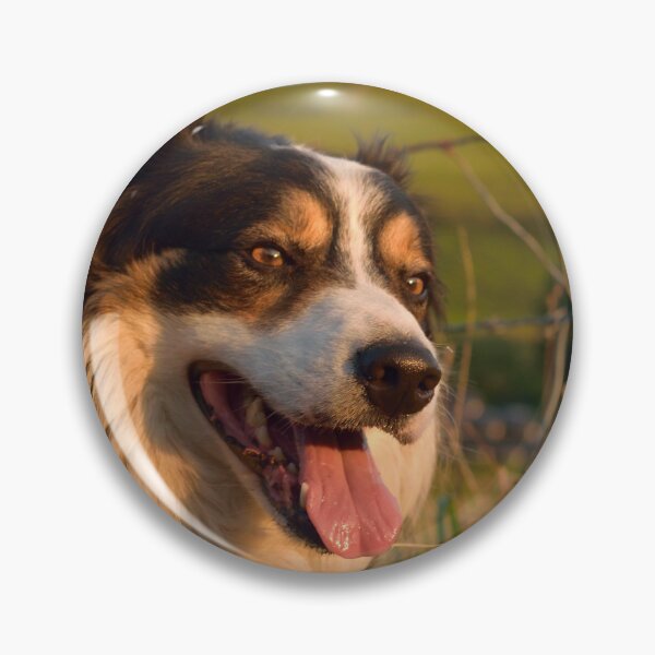 Item preview, My Fair Laddie. designed and sold by Michael Haslam.