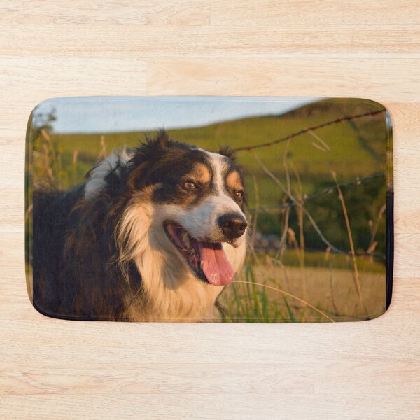 Item preview, My Fair Laddie. designed and sold by Michael Haslam.