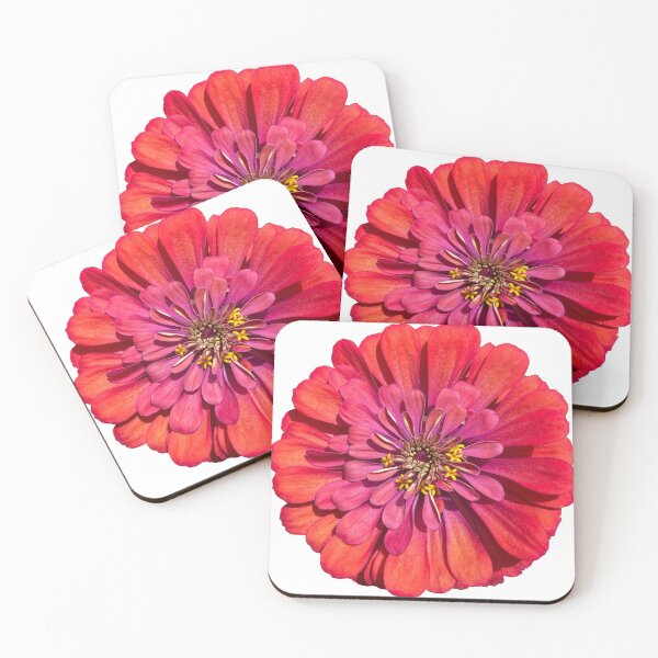 Item preview, zinnia designed and sold by emmpressions125.