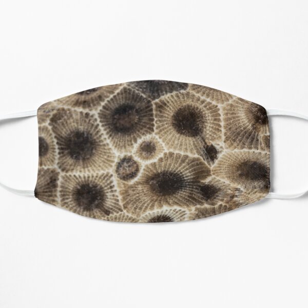 Petoskey Stone Flat Mask