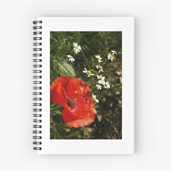 Item preview, Path-side Poppy designed and sold by KMorral.