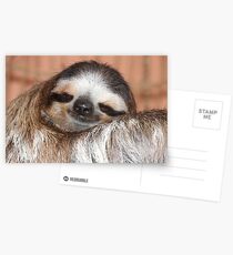 Buttercup the Sloth Postcards