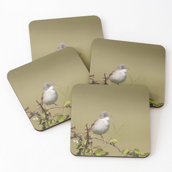 Item preview, Nest building time designed and sold by miradorpictures.