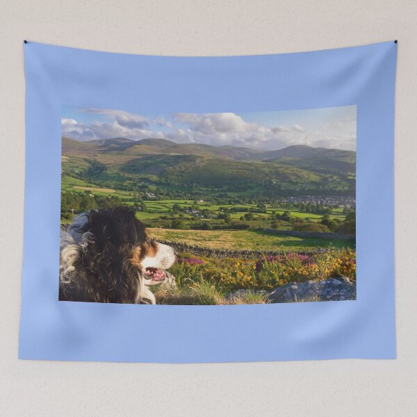 Item preview, Dreamscape. designed and sold by Michael Haslam.