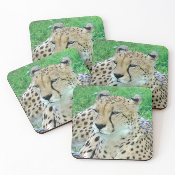 Item preview, Cheetah photography designed and sold by TMBTM.