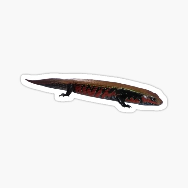 Item preview, Fire Skink designed and sold by VariousLizards.