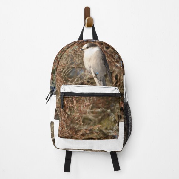 Item preview, Grey Jay/Canada Jay/Whiskey Jack designed and sold by rodmacpherson.