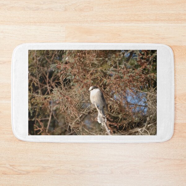 Item preview, Grey Jay/Canada Jay/Whiskey Jack designed and sold by rodmacpherson.