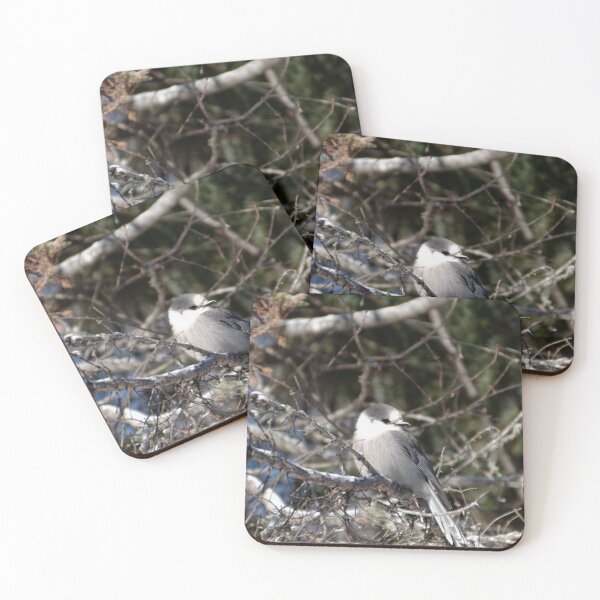 Item preview, Grey Jay/Canada Jay/Whiskey Jack designed and sold by rodmacpherson.