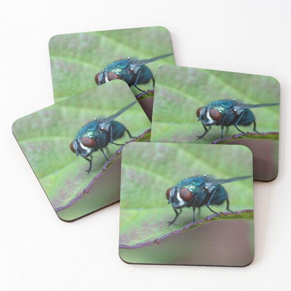 Item preview, Bluebottle Fly designed and sold by SorryToBugYou.
