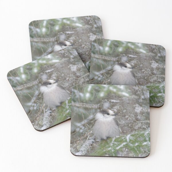 Item preview, Grey Jay/Canada Jay/Whiskey Jack designed and sold by rodmacpherson.