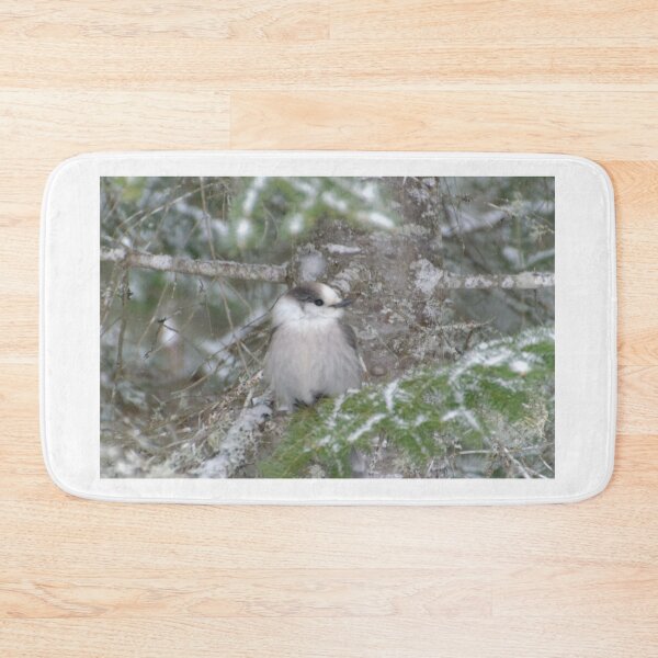 Item preview, Grey Jay/Canada Jay/Whiskey Jack designed and sold by rodmacpherson.