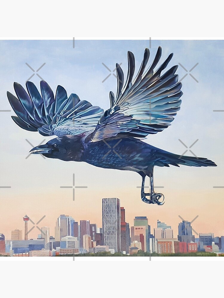 Untethered - crow over Calgary skyline by EmilyBickell