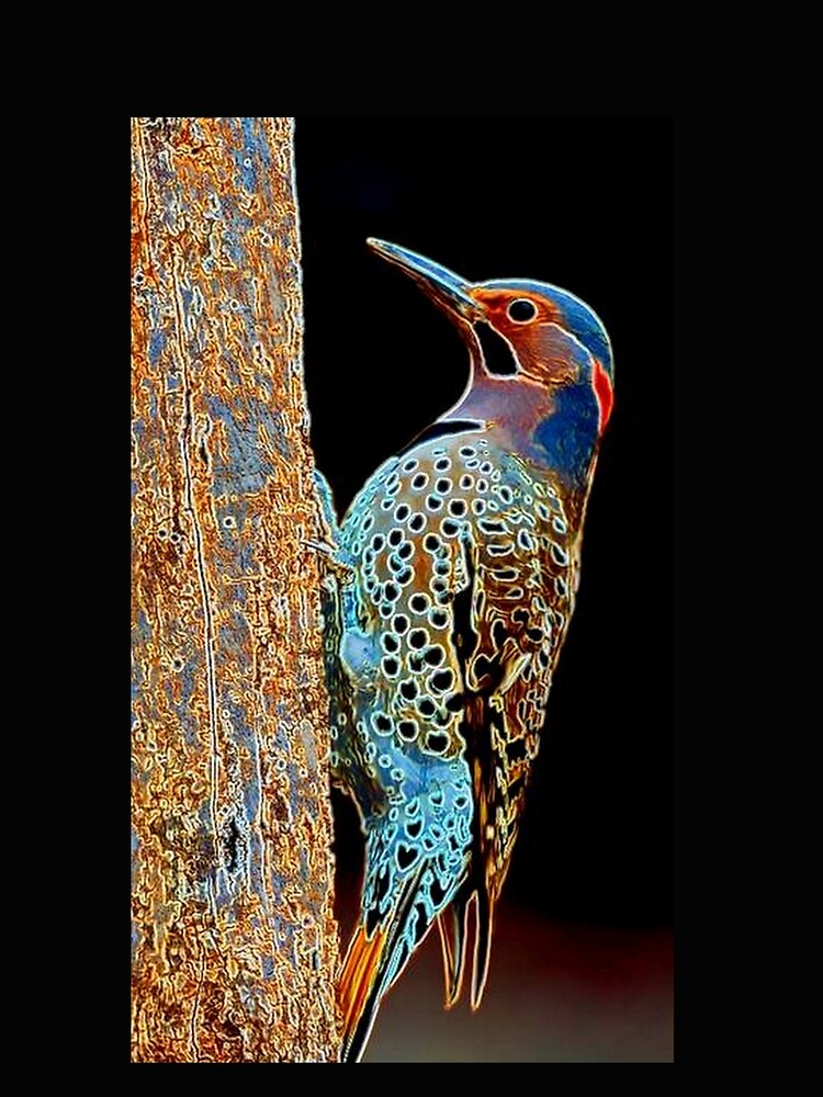 WOODPECKER by michaeltodd