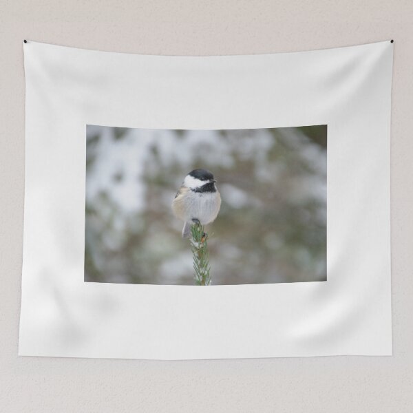 Item preview, Chickadee designed and sold by rodmacpherson.