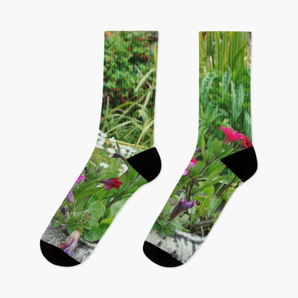 Item preview, Geraniums - Tresco Abbey Gardens, Scilly Isles designed and sold by niki2028.