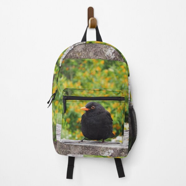 Item preview, Blackbird On The Wall - Tresco Abbey Gardens, Scilly Isles designed and sold by niki2028.