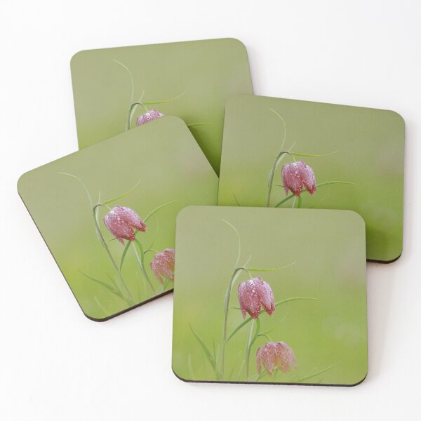 Item preview, Fabulous fritillaries designed and sold by miradorpictures.