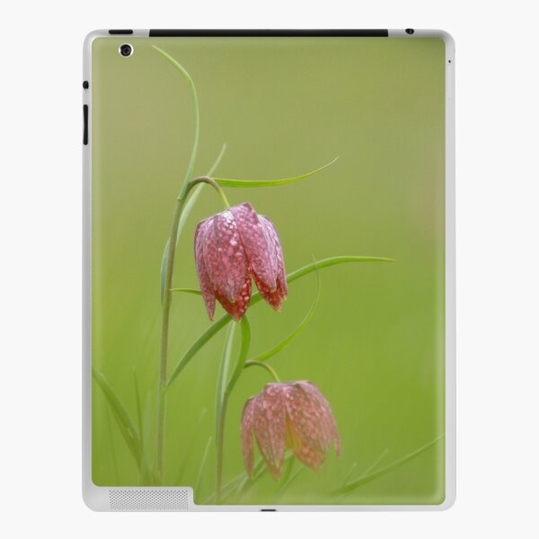 Snakes head fritillary in bloom iPad Skin