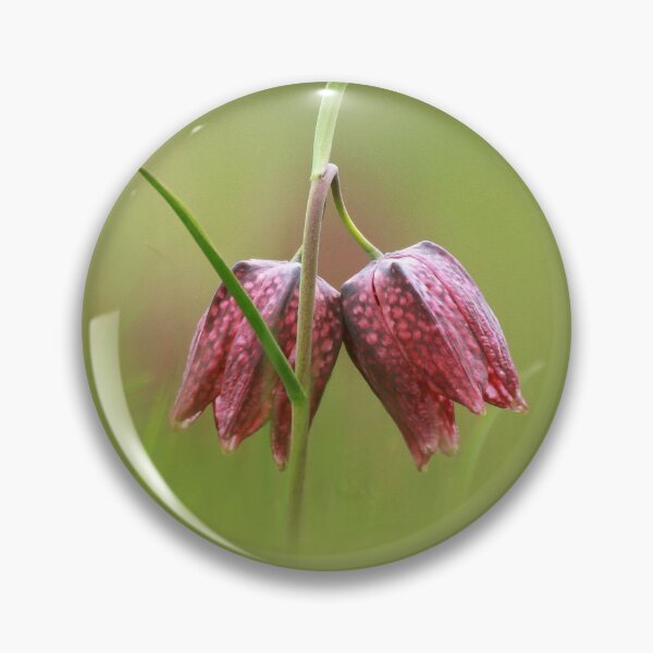 Double headed fritillary Pin