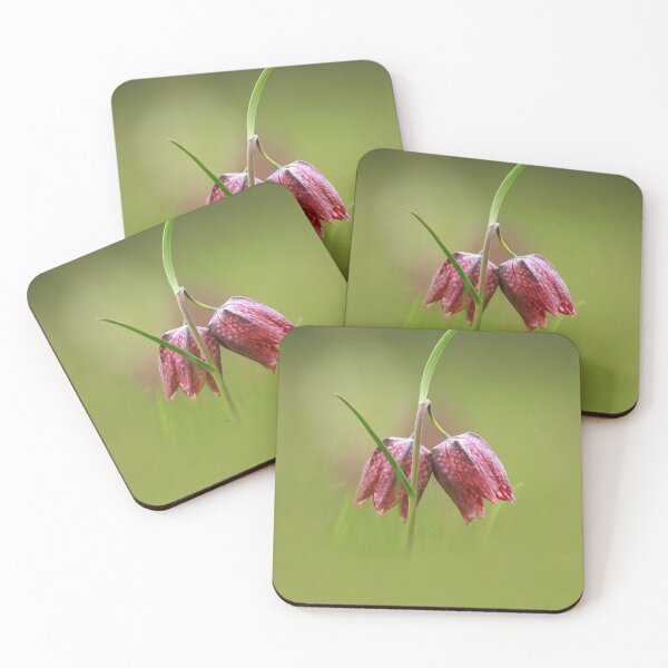 Item preview, Double headed fritillary designed and sold by miradorpictures.