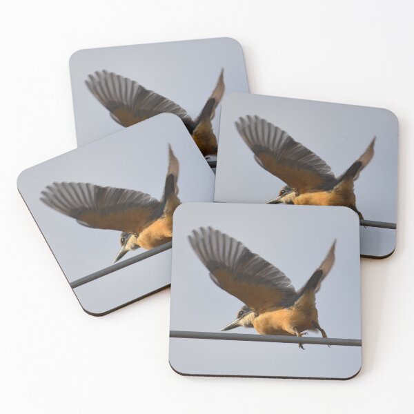 Item preview, Aerial Kingfisher- Kingfisher sitting on a TV Aerial- New Zealand Birds designed and sold by lizdomett.