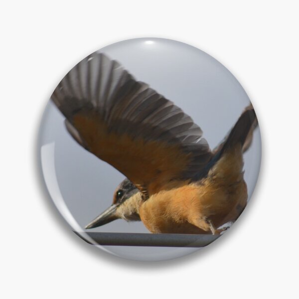 Item preview, Aerial Kingfisher- Kingfisher sitting on a TV Aerial- New Zealand Birds designed and sold by lizdomett.