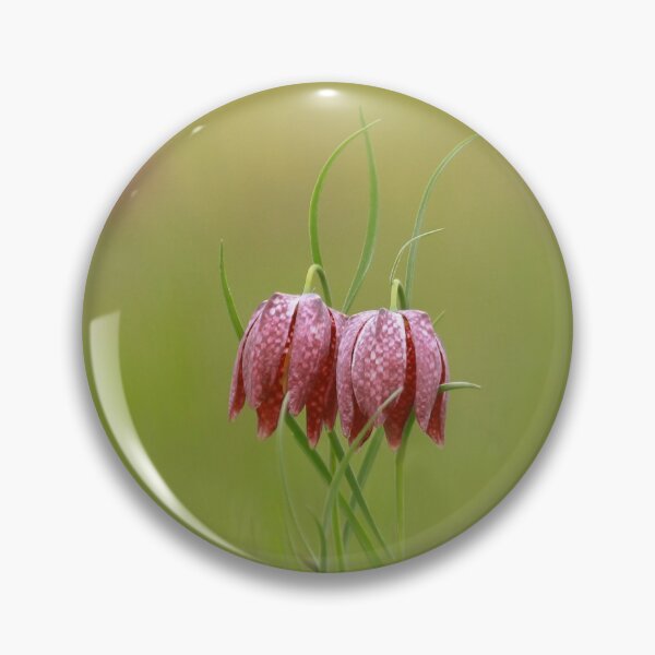 Item preview, Snakes head fritillary designed and sold by miradorpictures.