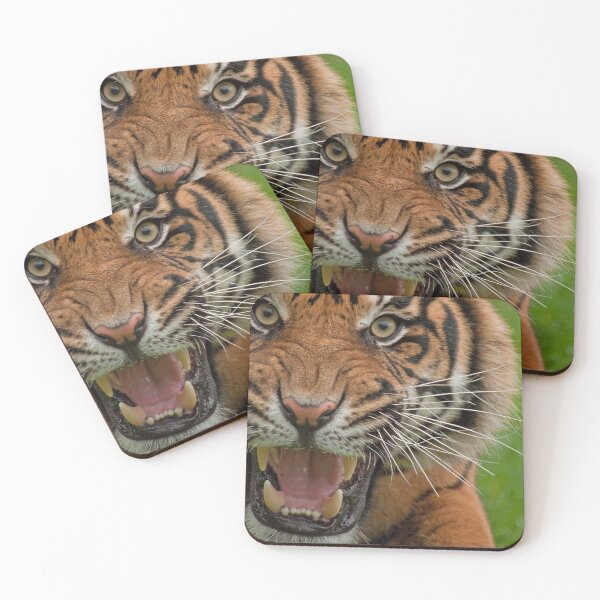 Item preview, Nice to meet you....... designed and sold by JMChown.