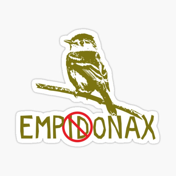 Empidonax Sticker