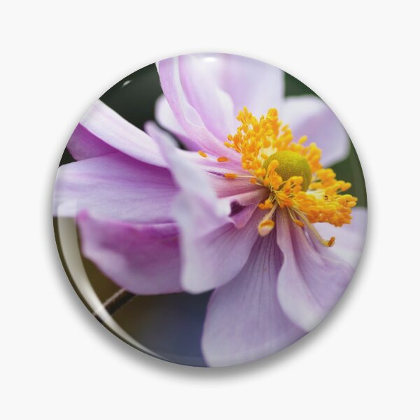 Item preview, Japanese Anemone. designed and sold by John Ray.