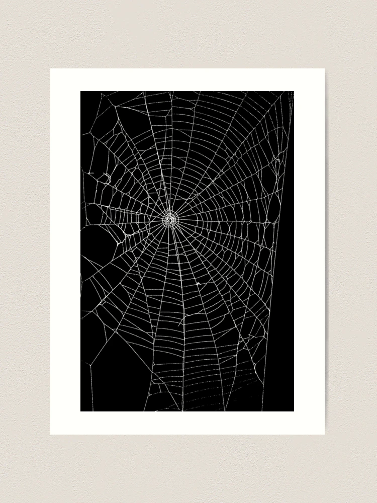 Amazon.com: Y2K Gothic Spider Web Heart-shaped Print Hoodied