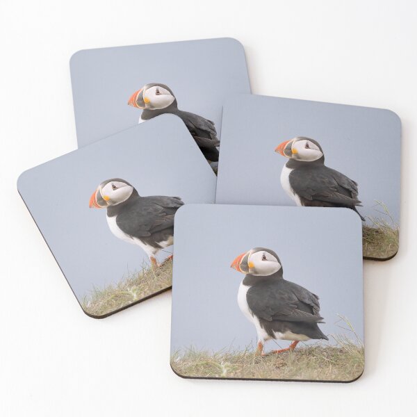 Item preview, Atlantic Puffin designed and sold by mlorenz.