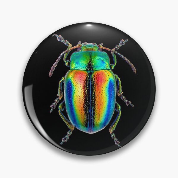 Item preview, Colorful Iridescent Dogbane Beetle designed and sold by lordthebeard.