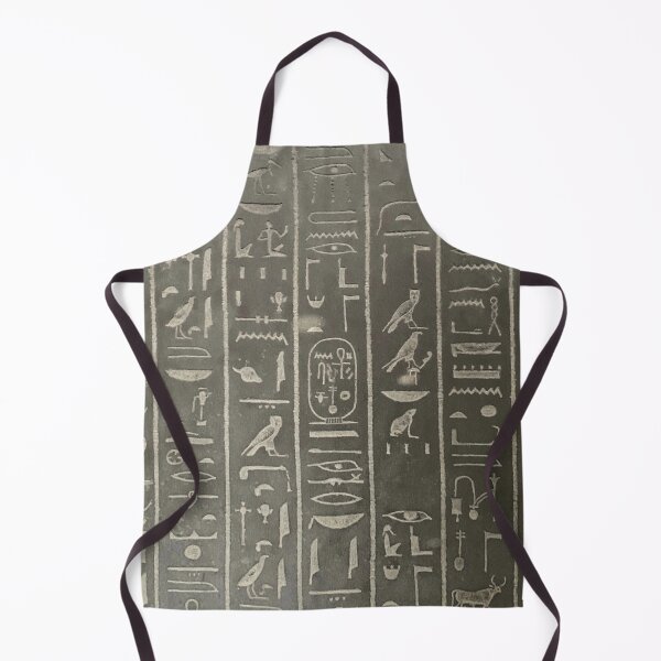 Item preview, Hieroglyphs from the sarcophagus of Ankhesneferibra designed and sold by DotorEaon.