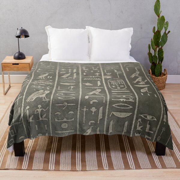 Item preview, Hieroglyphs from the sarcophagus of Ankhesneferibra designed and sold by DotorEaon.