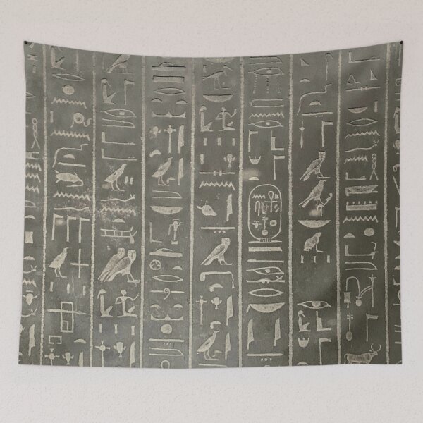 Item preview, Hieroglyphs from the sarcophagus of Ankhesneferibra designed and sold by DotorEaon.