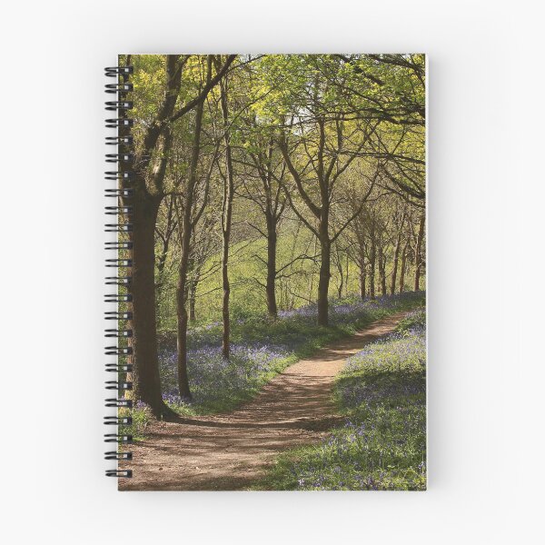 Item preview, The long and winding road of blue designed and sold by miradorpictures.