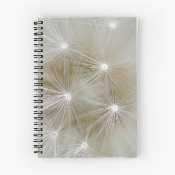 Item preview, Dandelion designed and sold by OrionPhotograph.