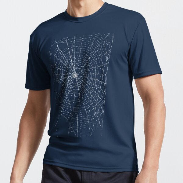 Spider Spider Web