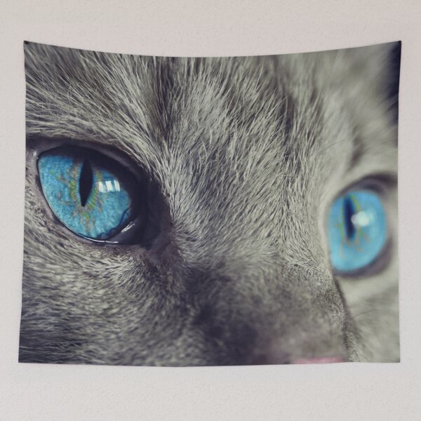 Item preview, Look designed and sold by OrionPhotograph.