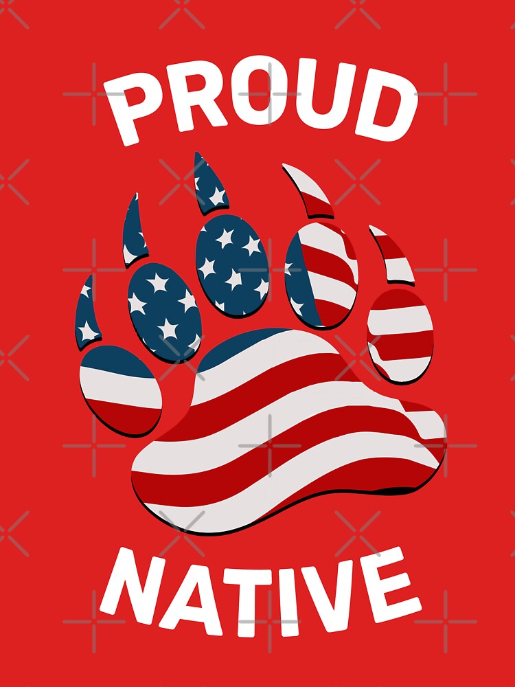 Proud Native American Flag Indian Feather Tribal Baseball Jersey