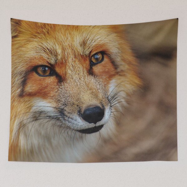 Item preview, Red fox designed and sold by OrionPhotograph.