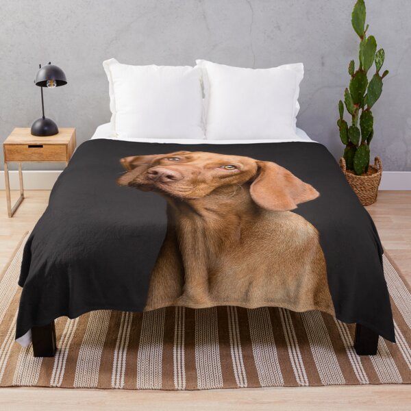 Item preview, Dog designed and sold by OrionPhotograph.