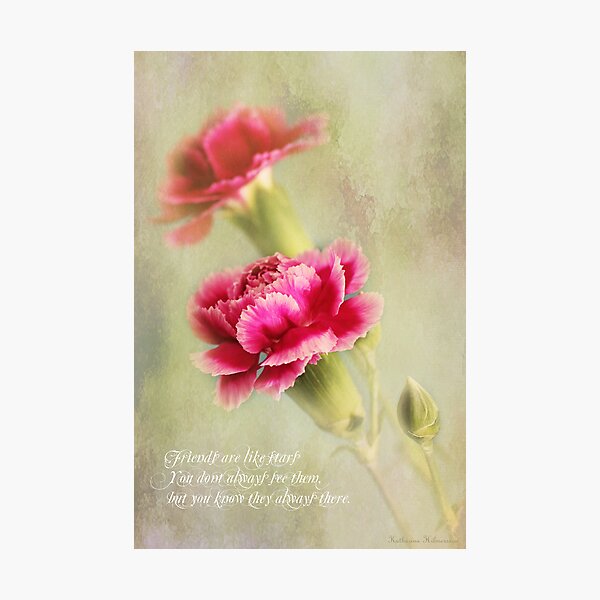Friends are like stars Photographic Print