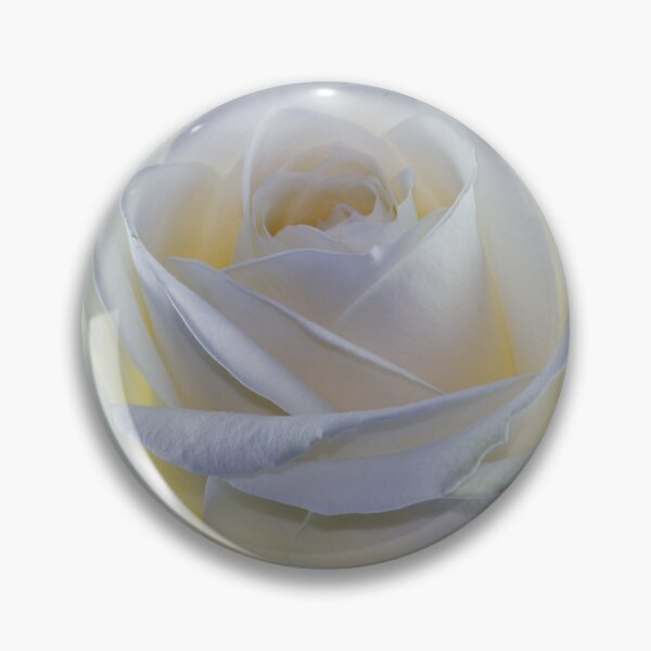 Item preview, White Rose Photograph designed and sold by Dator.